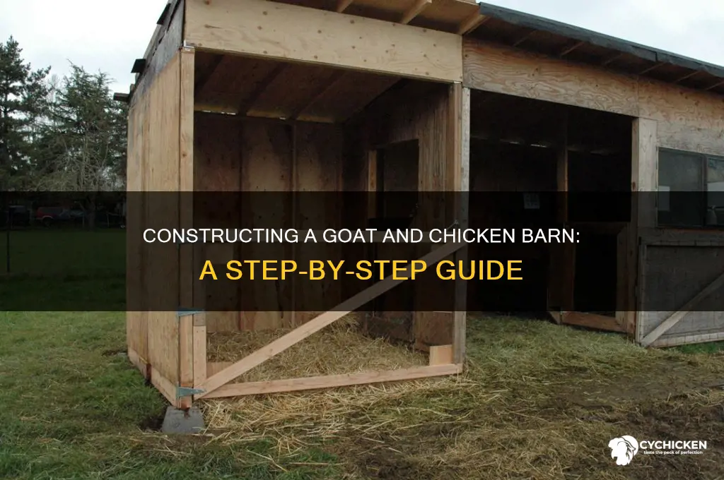 how to build a goat and chicken barn