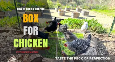 Building a Grazing Box: Happy, Healthy Chickens