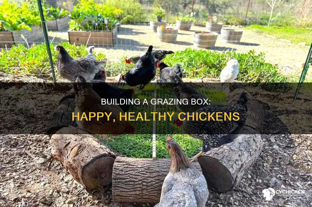 how to build a grazing box for chicken