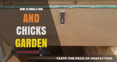 Creating a Haven for Hens and Chicks