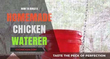 DIY Chicken Waterer: Simple Steps for a Homemade Solution