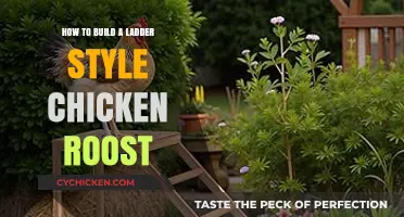 Building a Ladder-Style Chicken Roost: Easy DIY Guide