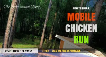 DIY Mobile Chicken Run: Easy Steps for Happy, Safe Hens