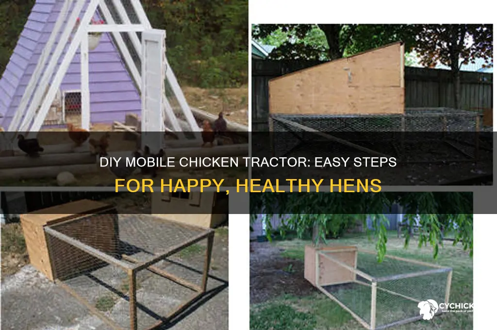 how to build a mobile chicken tractor