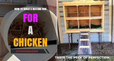 Creating a Comfortable Nesting Box for Your Chickens