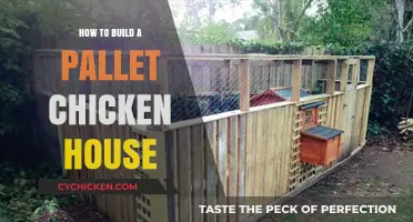 DIY Pallet Chicken Coop: Easy, Affordable, and Eco-Friendly Building Guide