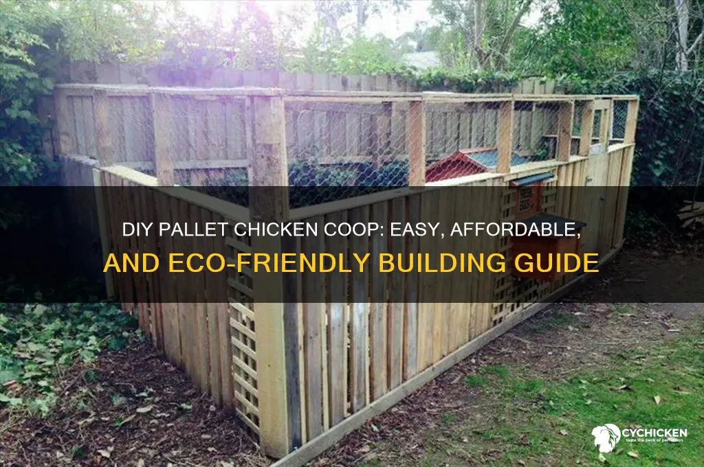 how to build a pallet chicken house