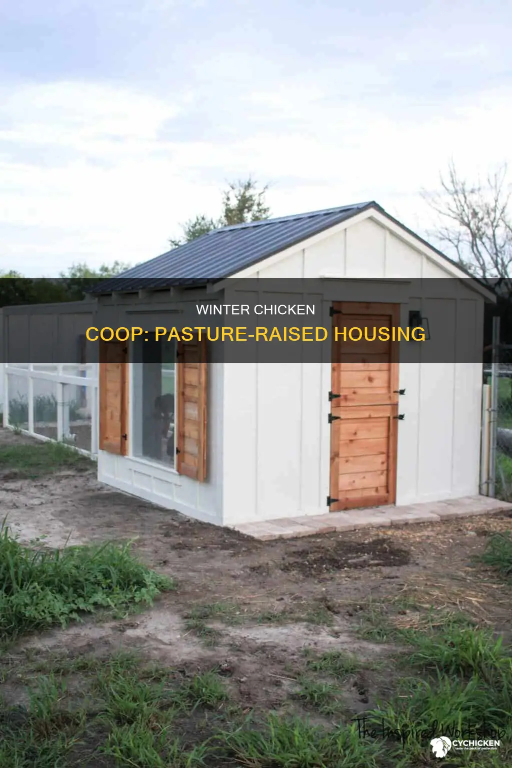 how to build a pastured chicken house for winter