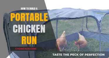 DIY Portable Chicken Run: Easy Steps for Happy, Safe Chickens