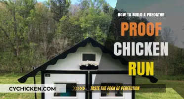 Protect Your Flock: Build a Predator-Proof Chicken Run