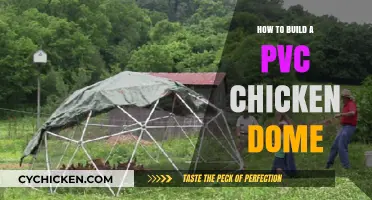 DIY PVC Chicken Dome: Easy Steps for a Cozy Coop