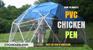 DIY PVC Chicken Pen: Easy Steps for a Durable Coop