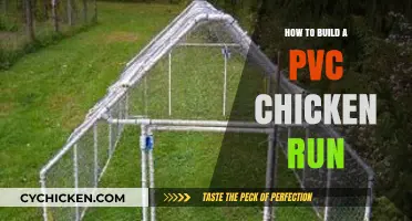 DIY PVC Chicken Run: Easy, Affordable, and Spacious Coop Extension