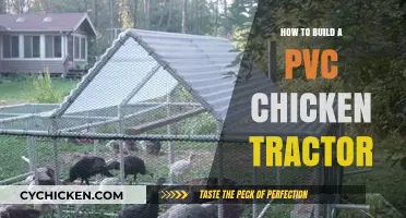 DIY PVC Chicken Tractor: Easy Steps for Mobile Coop Building
