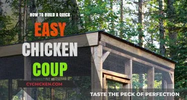 Building a Chicken Coop: Quick and Easy Steps