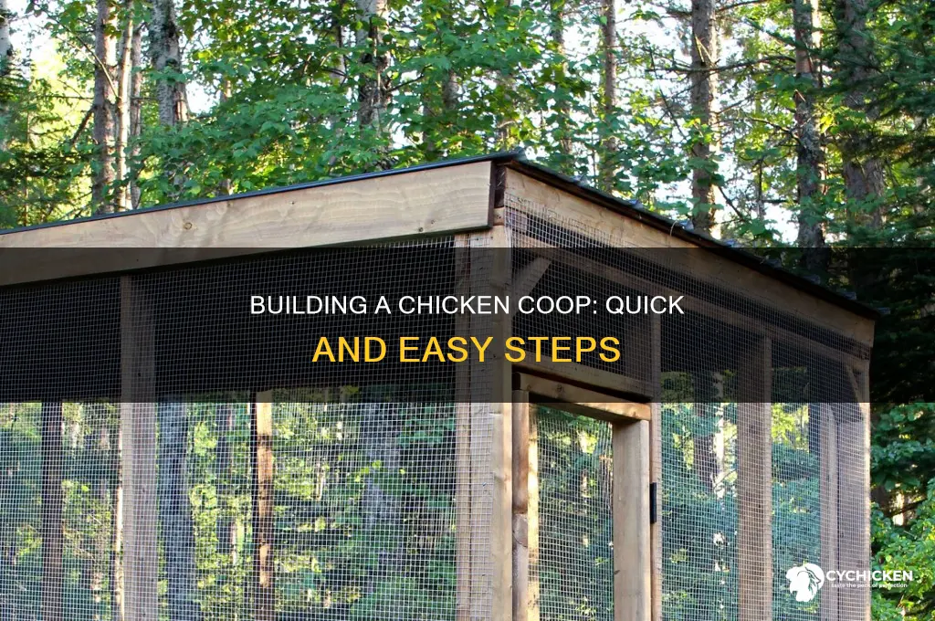 how to build a quick easy chicken coup