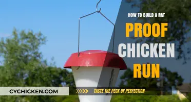 Protecting Your Chickens: Building a Rat-Proof Run