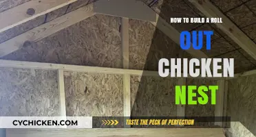 Building a Roll-Out Chicken Nest: Easy Steps to Follow