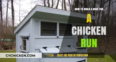 Building a Roofed Chicken Run: A Step-by-Step Guide