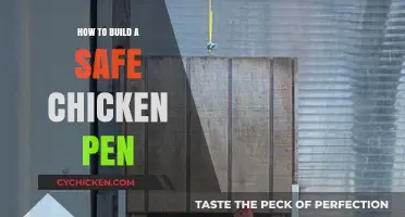 Secure Your Flock: Building a Safe and Durable Chicken Pen