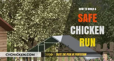 Secure Your Flock: Essential Tips for Building a Safe Chicken Run