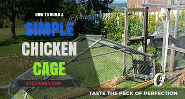 Easy DIY Chicken Cage: A Step-by-Step Guide for Beginners