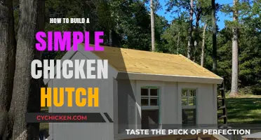 Easy DIY Chicken Hutch: A Beginner's Guide to Building