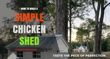 Easy DIY Chicken Shed: A Step-by-Step Building Guide