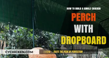 Constructing a Chicken Perch with a Dropboard: Easy Steps