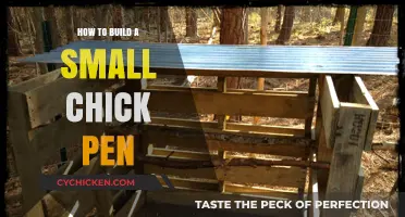 Easy DIY Guide to Building a Cozy Small Chick Pen