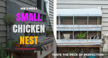 Easy DIY Chicken Nest Box: A Step-by-Step Guide for Beginners