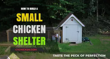 Easy DIY Chicken Shelter: A Step-by-Step Guide for Beginners