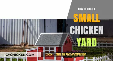 Creating a Cozy Chicken Yard: Simple Steps for Small Spaces