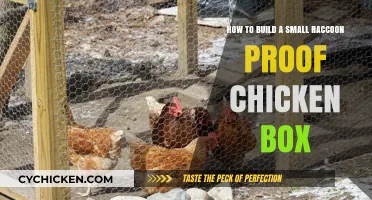 Protect Your Chickens: Build a Raccoon-Proof Coop