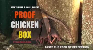 Building a Rodent-Proof Chicken Coop