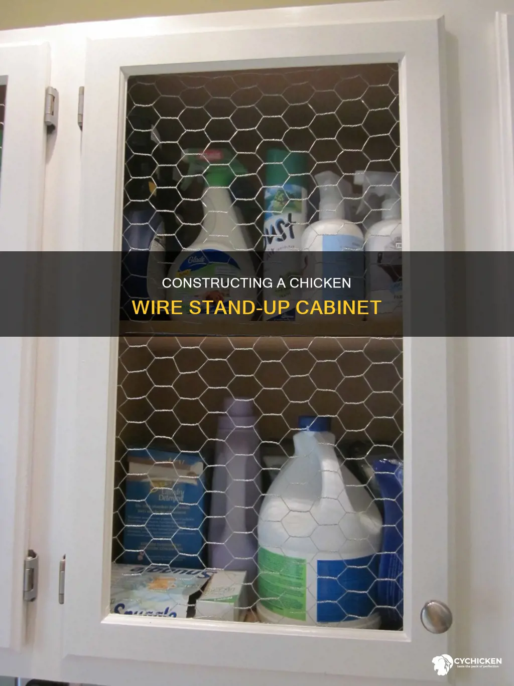 how to build a stand up cabinet with chicken wire