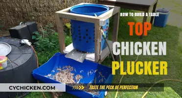 Building a Tabletop Chicken Plucker: DIY Guide