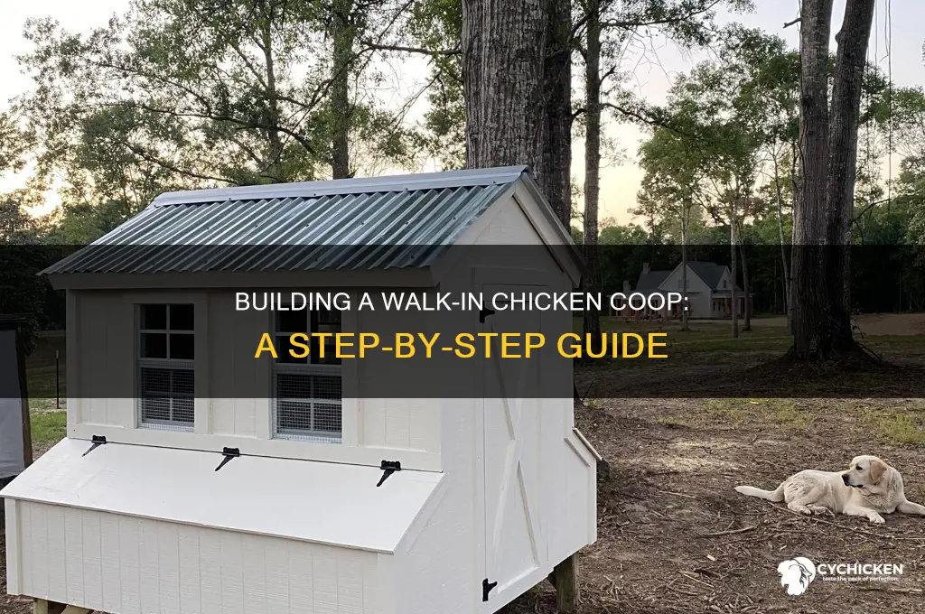 how to build a walk in chicken house