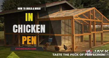 Building a Walk-In Chicken Pen: A Step-by-Step Guide