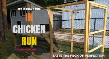 Building a Walk-in Chicken Run: A Step-by-Step Guide