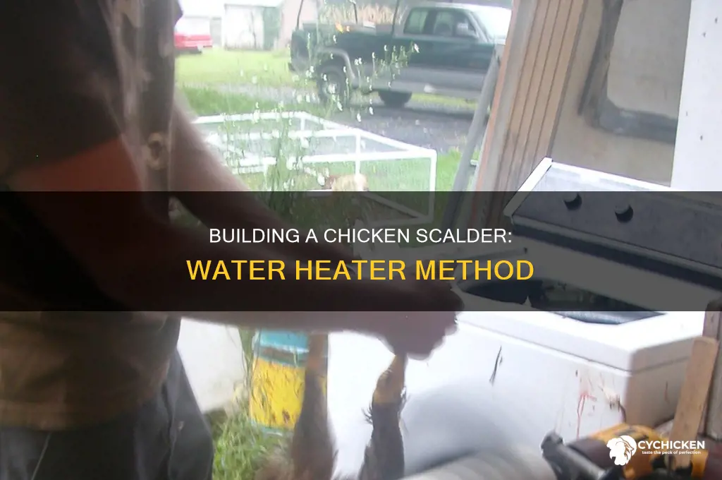how to build a water heater chicken scalder