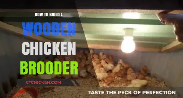 DIY Wooden Chicken Brooder: Step-by-Step Guide for Beginners