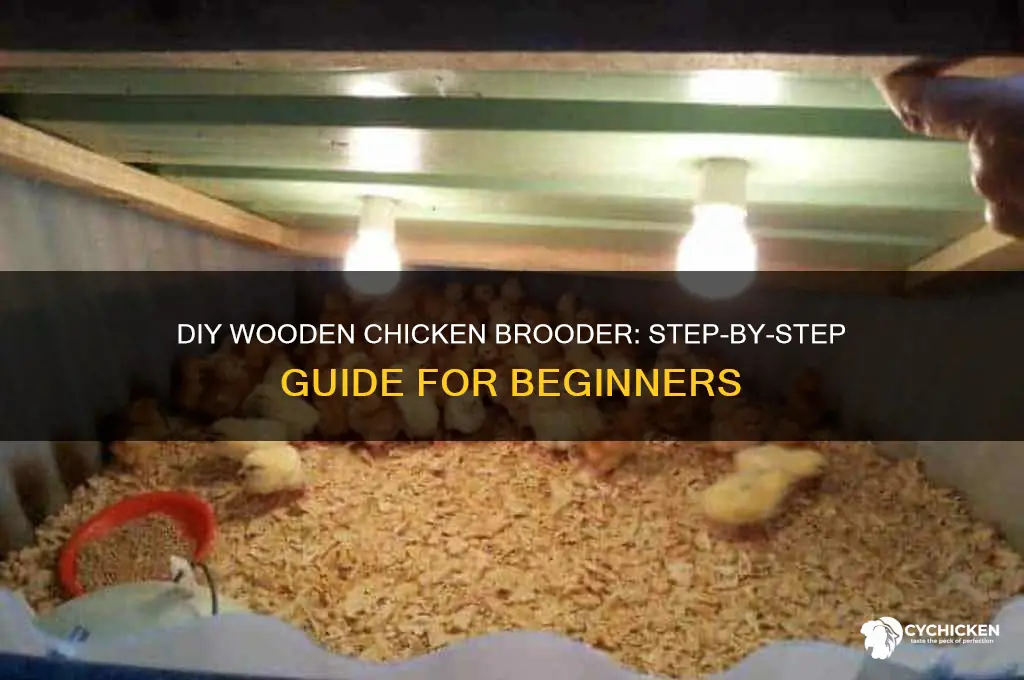 how to build a wooden chicken brooder