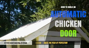 DIY Automatic Chicken Door: Easy Steps for Secure Coop Access