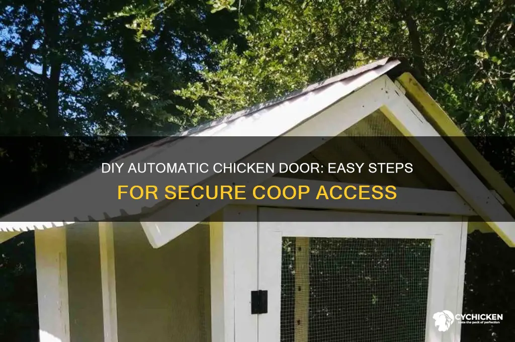 how to build an automatic chicken door