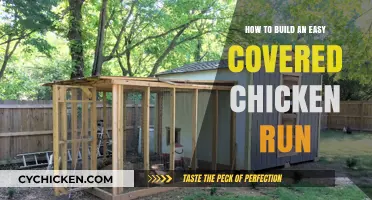 Building a Covered Chicken Run: Easy Steps to Follow