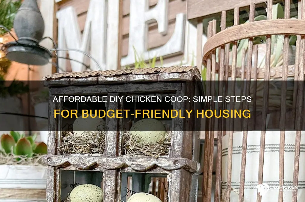 how to build an inexpensive chicken house