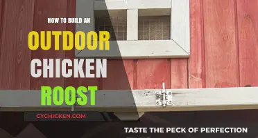 DIY Outdoor Chicken Roost: Easy Steps for Happy Hens