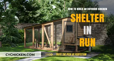 Constructing a Chicken Shelter: A Step-by-Step Guide