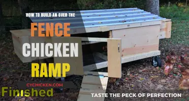 Building a Chicken Ramp: Over the Fence Guide